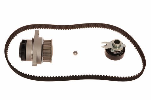 Rozvodová sada s vodní pumpou INA