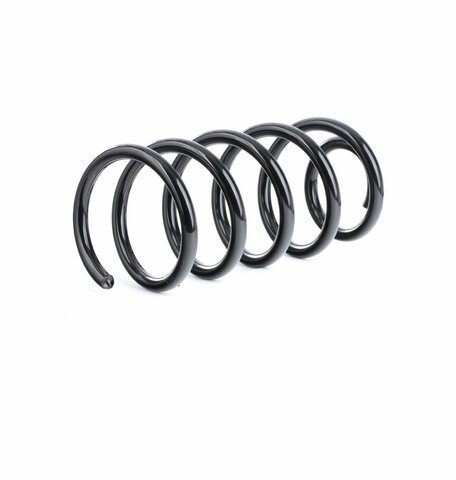 Pružina zadního tlumiče