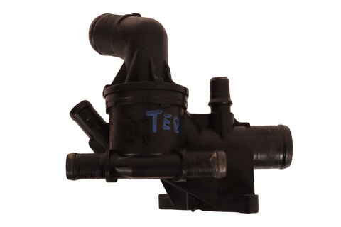 Termostat - 110617671R