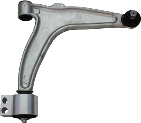 Rameno přední pravé