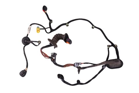 Kabelový svazek předních dveří pravý 3C1971121CD