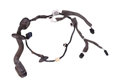 Kabelový svazek zadních dveří levý -241270722R