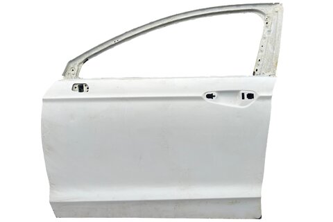 Dveře přední levé DS73-F20125-DL