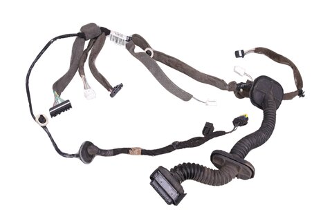 Kabelový svazek zadní dveře levé 241279324R