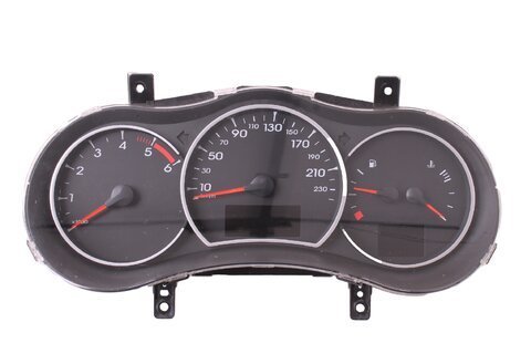 Přístrojový štít 248100537R