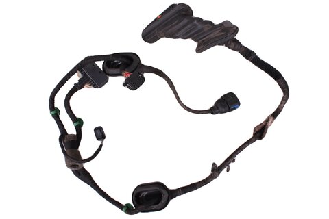 Kabelový svazek zadních dveří L=P 1T0971693AS