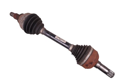 Poloosa levá - 13250869