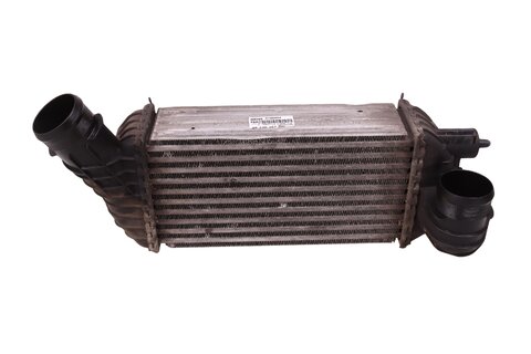 Chladič nasávaného vzduchu (intercooler) 0384P4