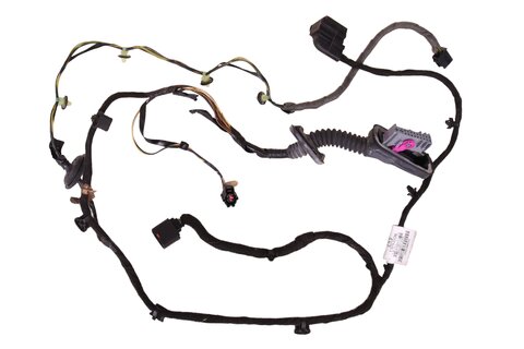 Kabelový svazek zadních dveří pravý (2HG) 13263338