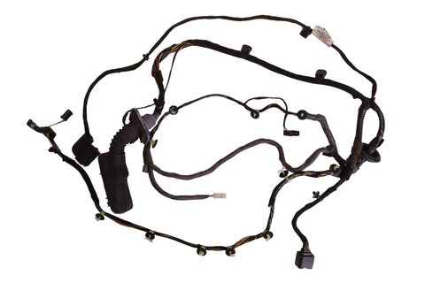 Kabelový svazek předních dveří pravý (2HC) 13264928