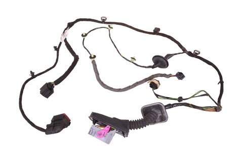 Kabelový svazek zadních dveří levý (2HE) 13238681