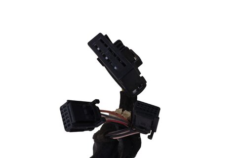 Kabelový svazek předních levých dveří 241257258R