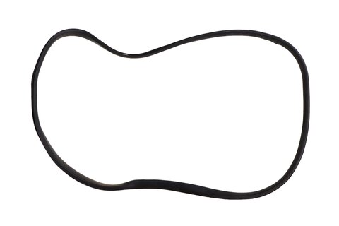 Vnitřní těsnění dveří levé/pravé přední 808321134R