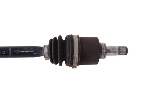 Poloosa pravá 1S0407762J