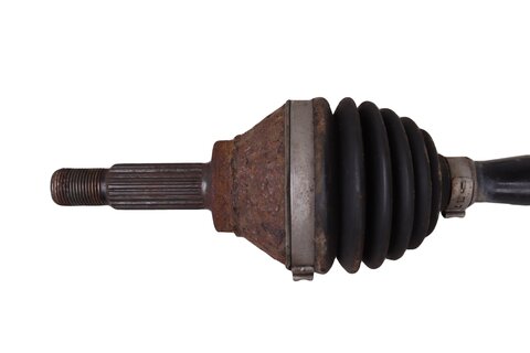 Poloosa pravá 1S0407762J