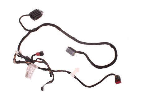 Kabelový svazek předních levých dveří - 1351444080