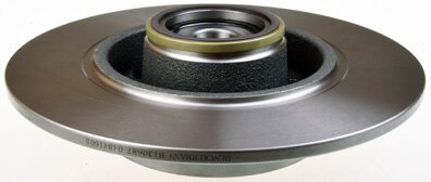 Brzdový kotouč zadní ( s ložiskem ) 274mm