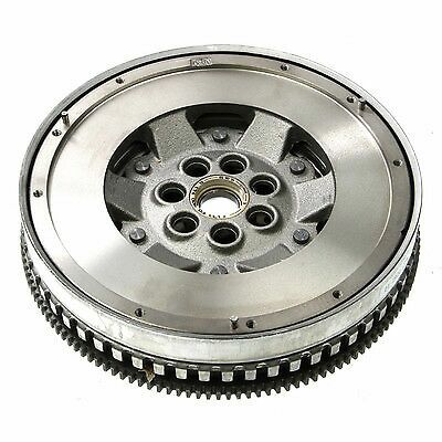 Dvouhmotový setrvačník LUK