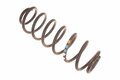 Pružina zadní nápravy (1x or, 2x mo, 2x bí) 6Q0511115AK