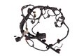 Kabelový svazek motoru 55221156