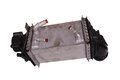 Chladič nasávaného vzduchu - intercooler 04E145785M