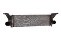 Intercooler - chladič vzduchu 5801255907