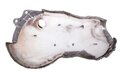 Kryt DPF 04L131783AC