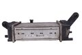 Chladič nasávaného vzduchu - intercooler 144618748R