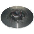 Brzdový kotouč zadní (s ložiskem) 300mm.