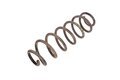 Pružina zadní nápravy combi (1x st, 4x ze)
