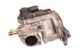 Ventil EGR 06F131503B